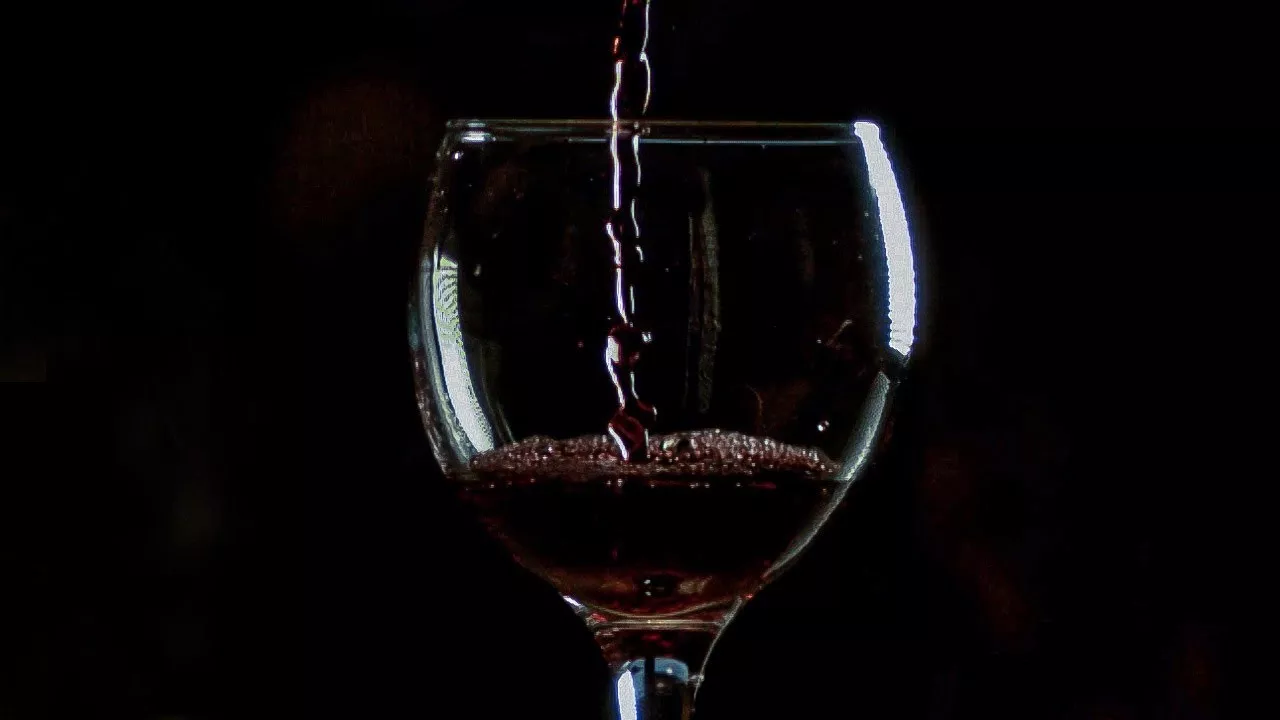 The Science Behind Red Wine: Its Surprising Health Benefits and Potential Risks